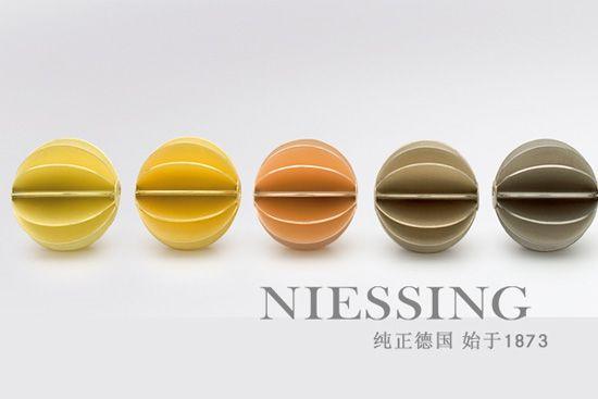 Niessingɫ ָݻ