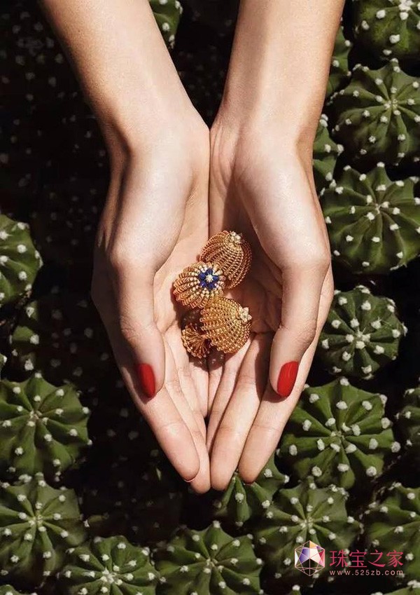 卡地亚Cactus de Cartier 系列盛夏绽放